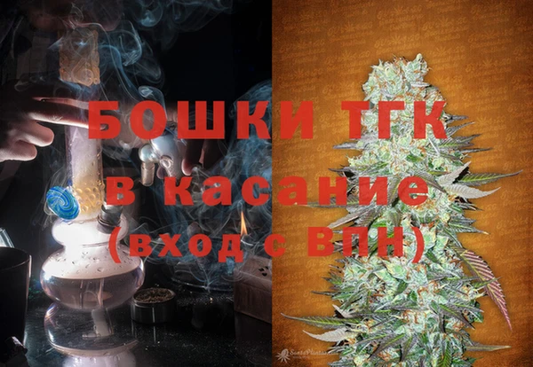 дурь Бородино