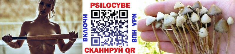 нарко площадка формула  наркотики  Орехово-Зуево  Псилоцибиновые грибы Psilocybine cubensis 